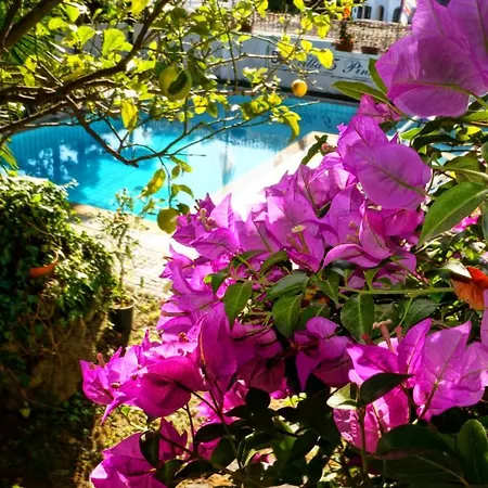 Alojamento de Acomodação e Pequeno-almoço Cinque Pini Casamicciola Terme