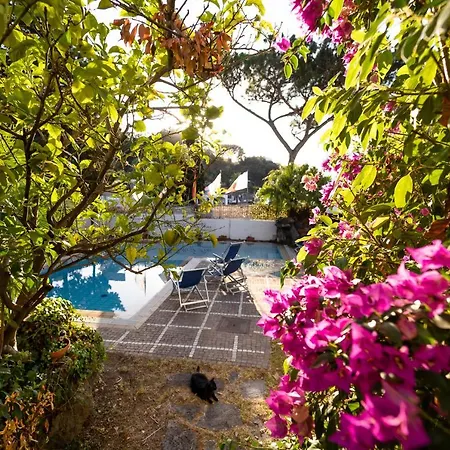 Alojamento de Acomodação e Pequeno-almoço Cinque Pini