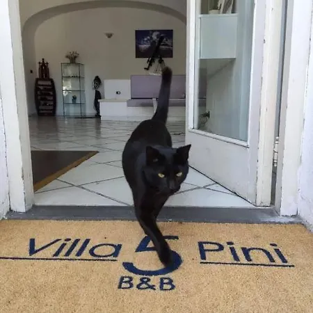 Cinque Pini Casamicciola Terme