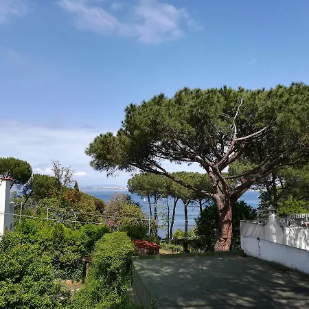 Alojamento de Acomodação e Pequeno-almoço Cinque Pini 3*