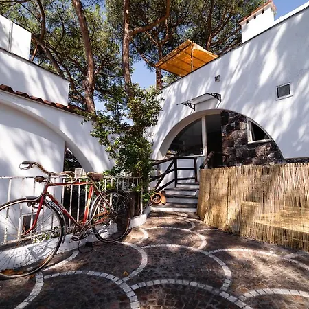 Cinque Pini Bed & Breakfast