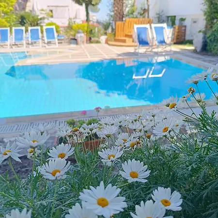 Cinque Pini Bed & Breakfast *