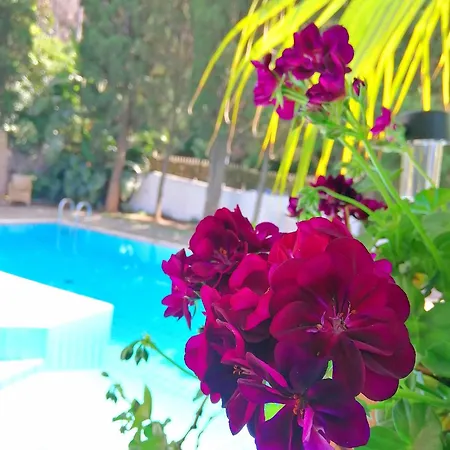 Cinque Pini Bed & Breakfast Casamicciola Terme