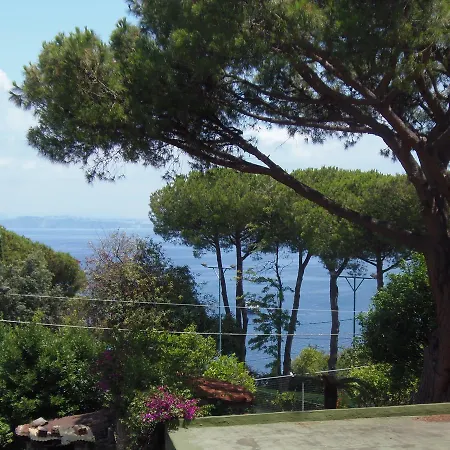 Cinque Pini Bed & Breakfast *