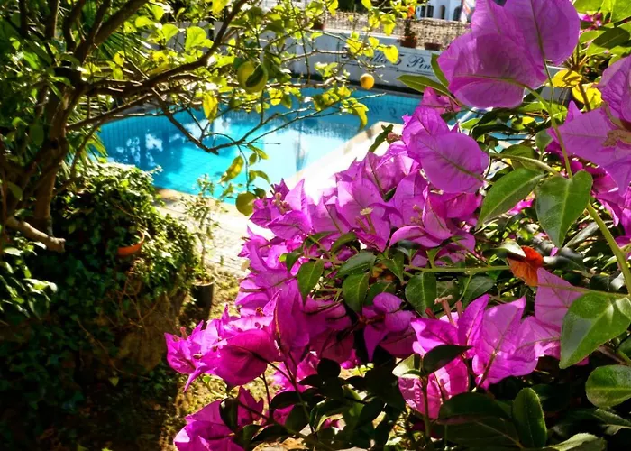 Bed and breakfast Cinque Pini Casamicciola Terme