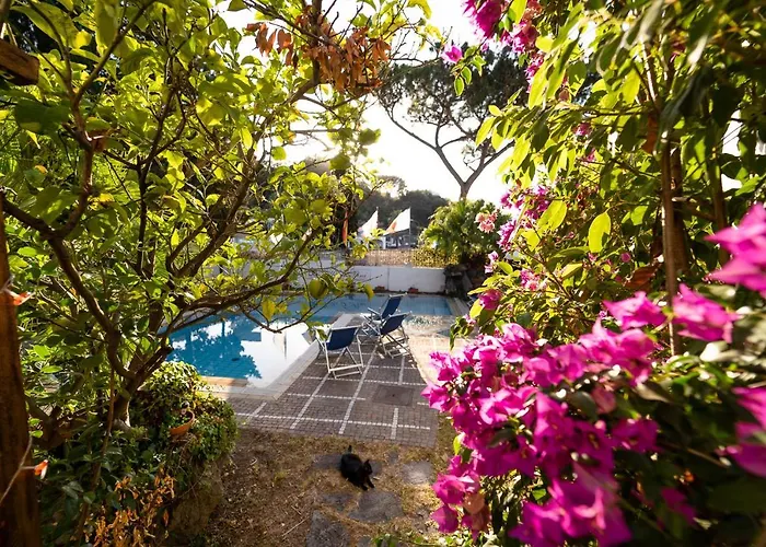 Bed & Breakfast Cinque Pini