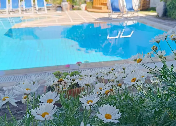 Cinque Pini Отель типа 