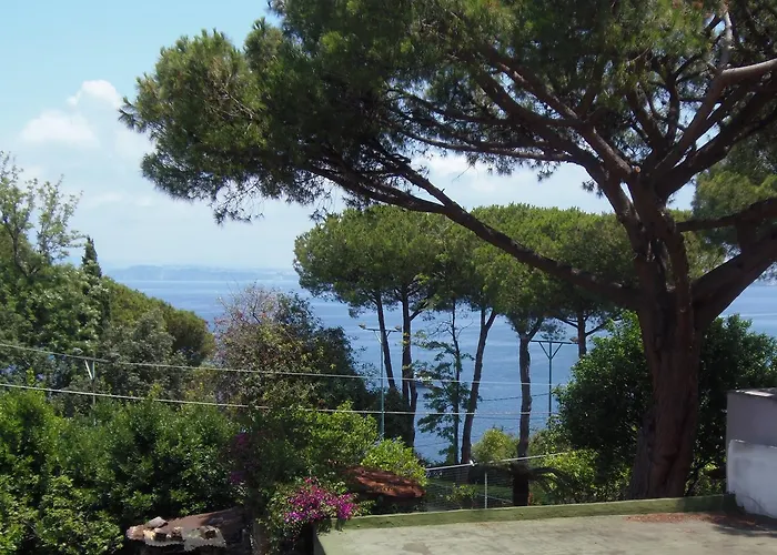 Cinque Pini Отель типа 